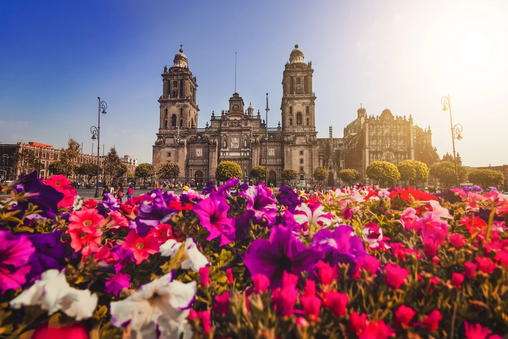 Mexican Heritage, Modern Urban Style